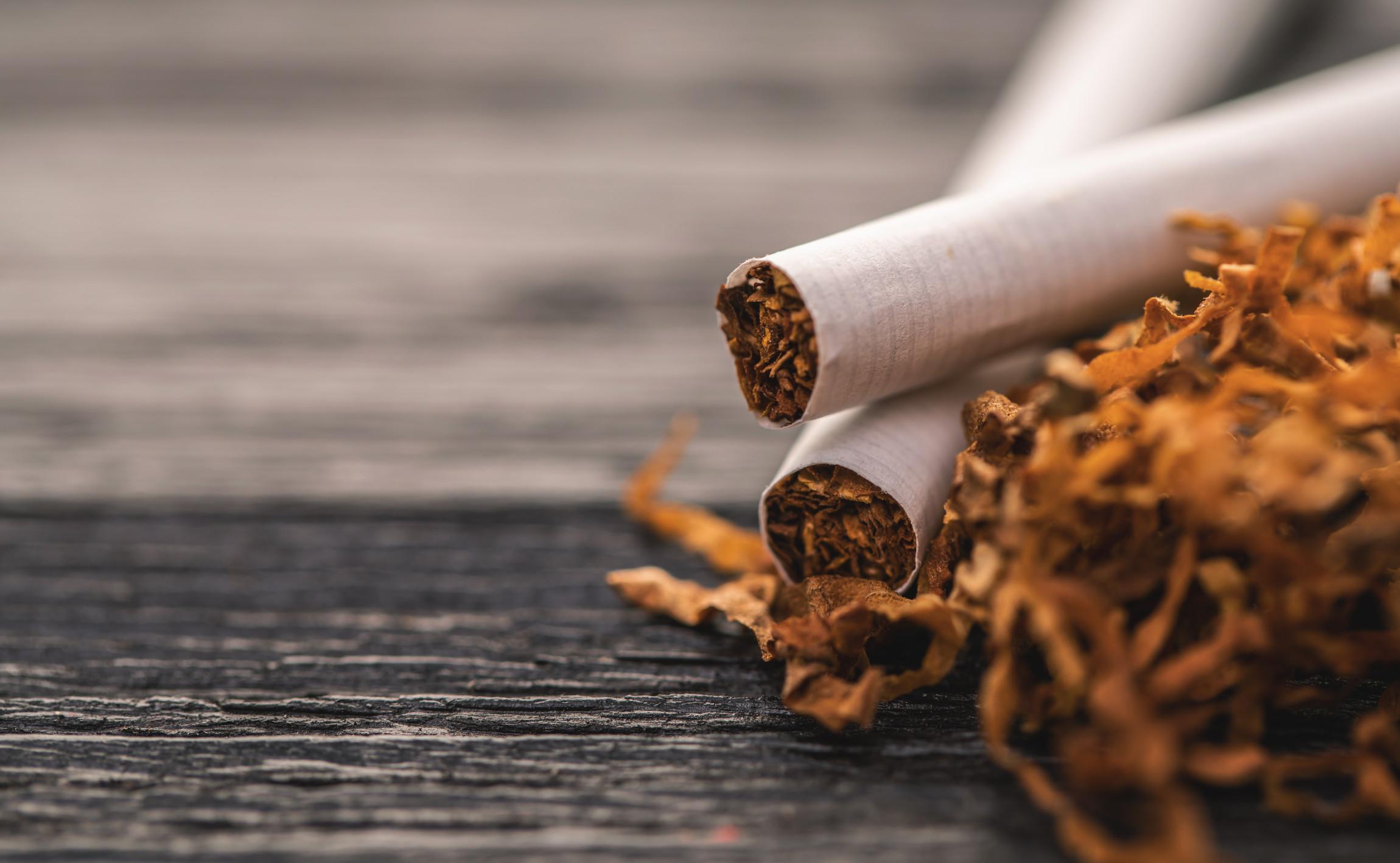 Tabac de qualit  La Rochelle - Le Diplomate